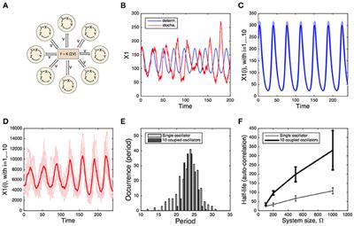 Modeling-Based Investigation of the Effect of Noise in Cellular Systems